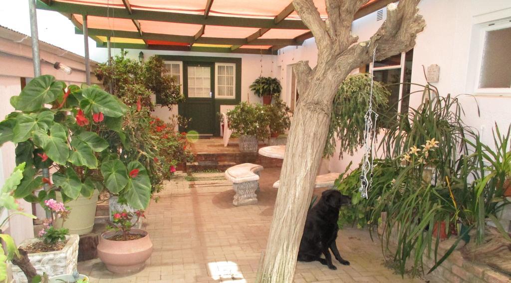 Van Rhyn Guest House Vanrhynsdorp Bagian luar foto